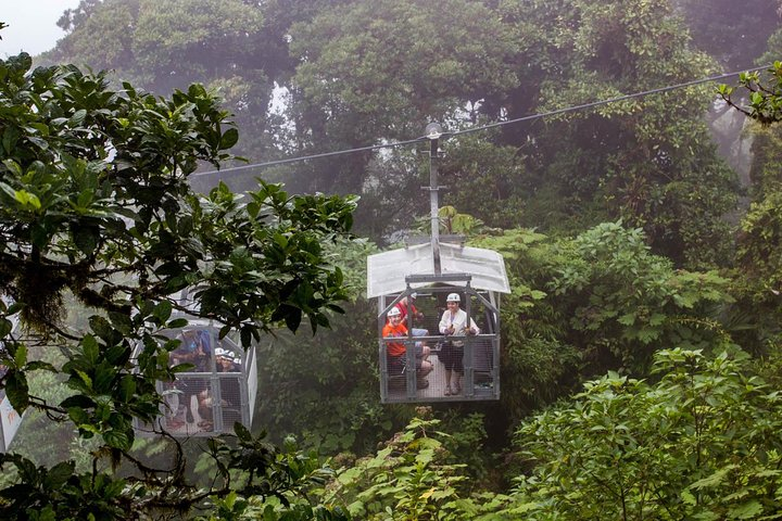 Sky Walk- Sky Tram & Sky Trek Zipline From Monteverde - Photo 1 of 6